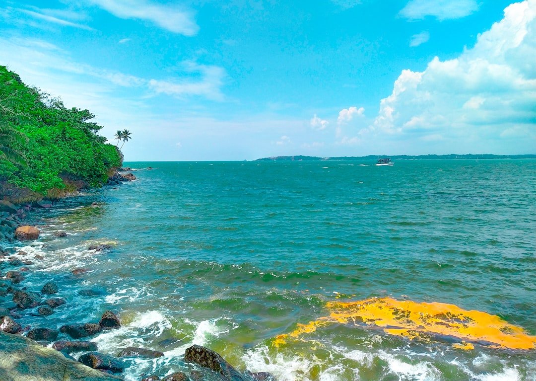 a-rocky-beach-with-a-body-of-water-and-trees-azndt8ihsck